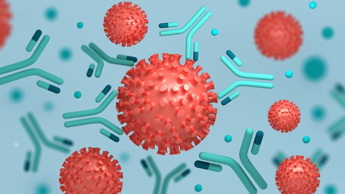 Antibodies antigens illustration immune system viruses explainer structures surface onto coronavirus attack against red