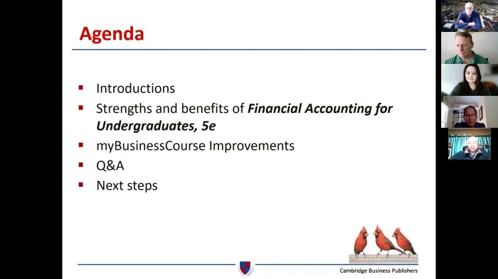 Financial accounting for undergraduates 5e