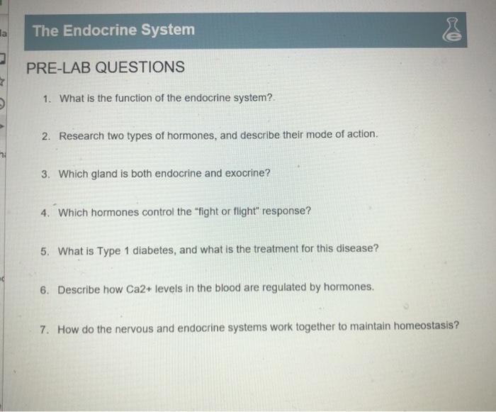 Pre lab exercise 16-3 endocrine system