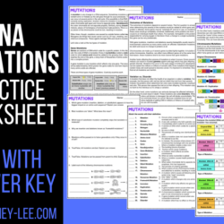 Mutations worksheet answer key pdf