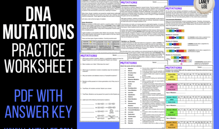 Mutations worksheet answer key pdf