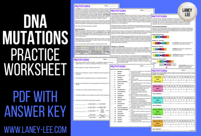 Mutations worksheet answer key pdf