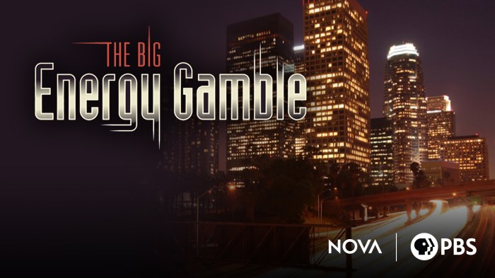 The big energy gamble worksheet answer key