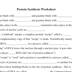 Dna rna and protein synthesis crossword answer key