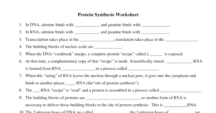 Dna rna and protein synthesis crossword answer key