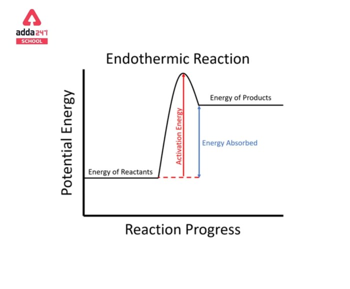 Endothermic exothermic examples